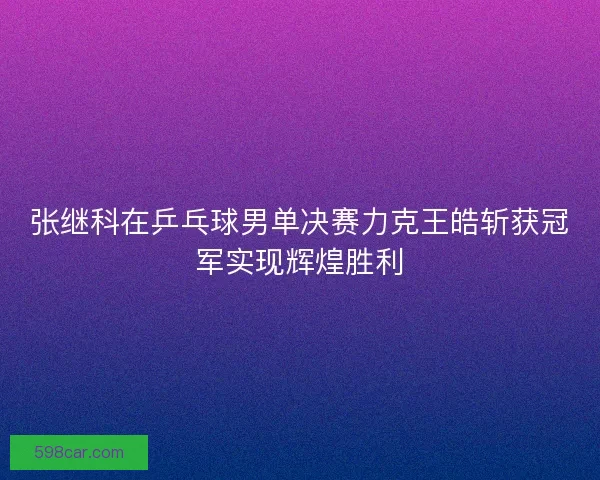 张继科在乒乓球男单决赛力克王皓斩获冠军实现辉煌胜利